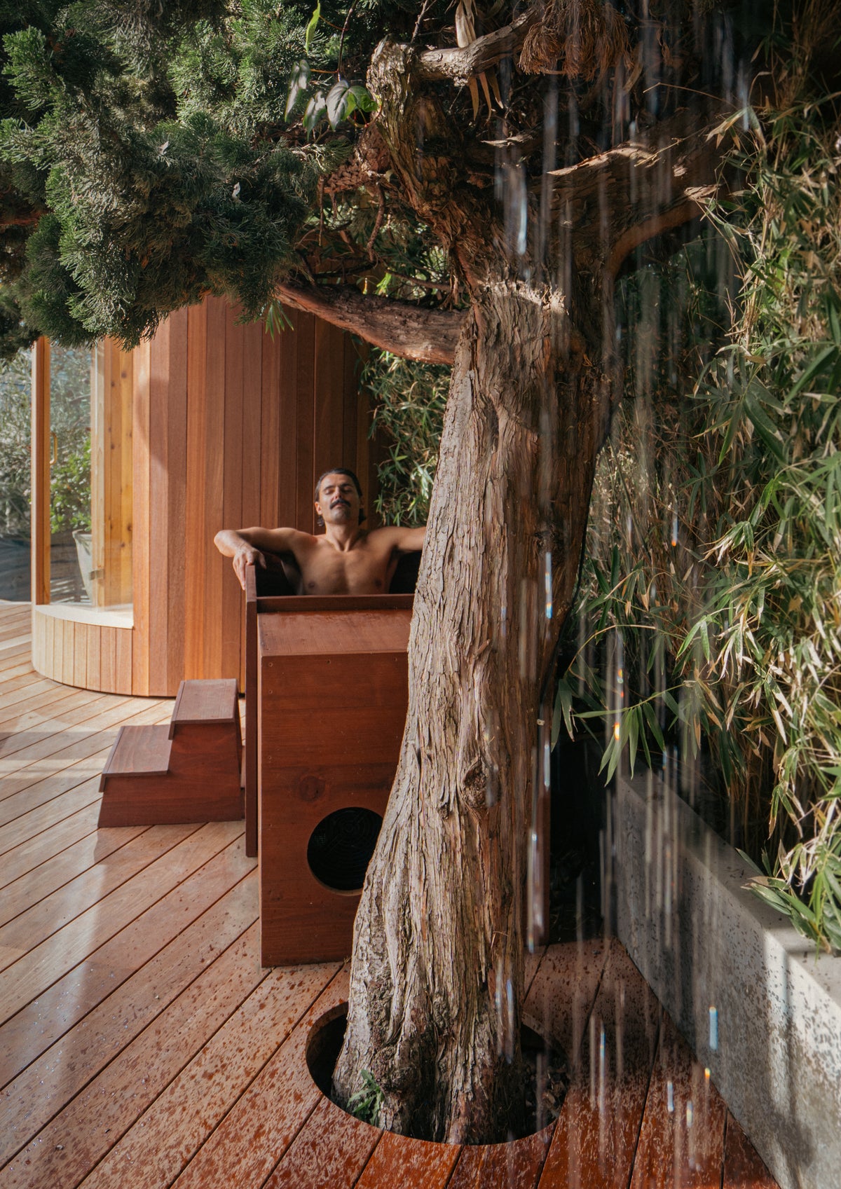 A bather soaking in a wooden hot tub built around a living tree.
